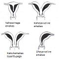 Pisipilt versioonist seisuga 7. oktoober 2012, kell 13:53