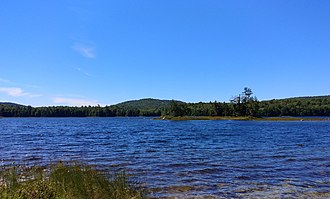 Photo from the eastern shore of Wilcox Lake Wilcox Lake.jpg