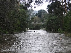 The Yarra River at Warburton