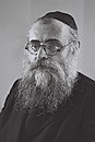 Yitzhak Meir Levin.jpg