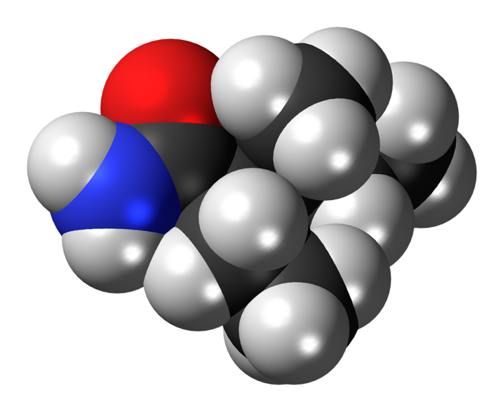 File:(2R,3S)-Valnoctamide molecule spacefill.png