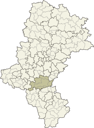 <span class="mw-page-title-main">Pszczyna County</span> County in Silesian Voivodeship, Poland