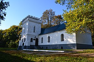 Кам'яниця Лизогубів. Вид з північного cxogy..JPG