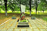 Могила невідомого радянського воїна, с. Малий Шпаків.jpg