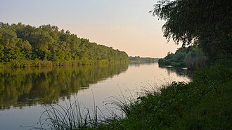 Река Медведица рядом со станицей Арчединской