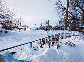 Село в зимку ( вулиця Перемоги )
