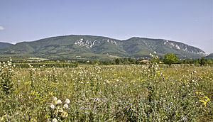 Homolje mountains