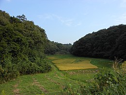 Maaseutua Tomiyassa