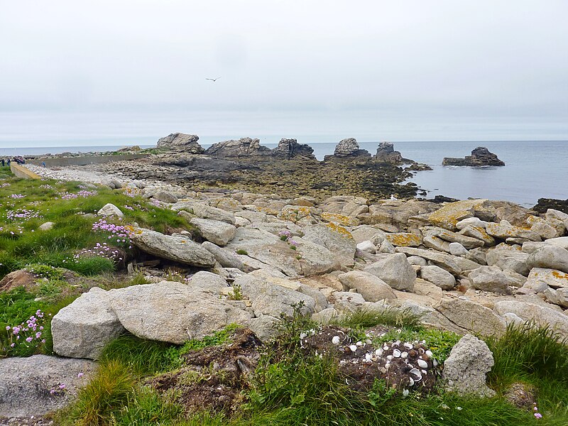 File:191 Rochers de l'Île Vierge 1.JPG