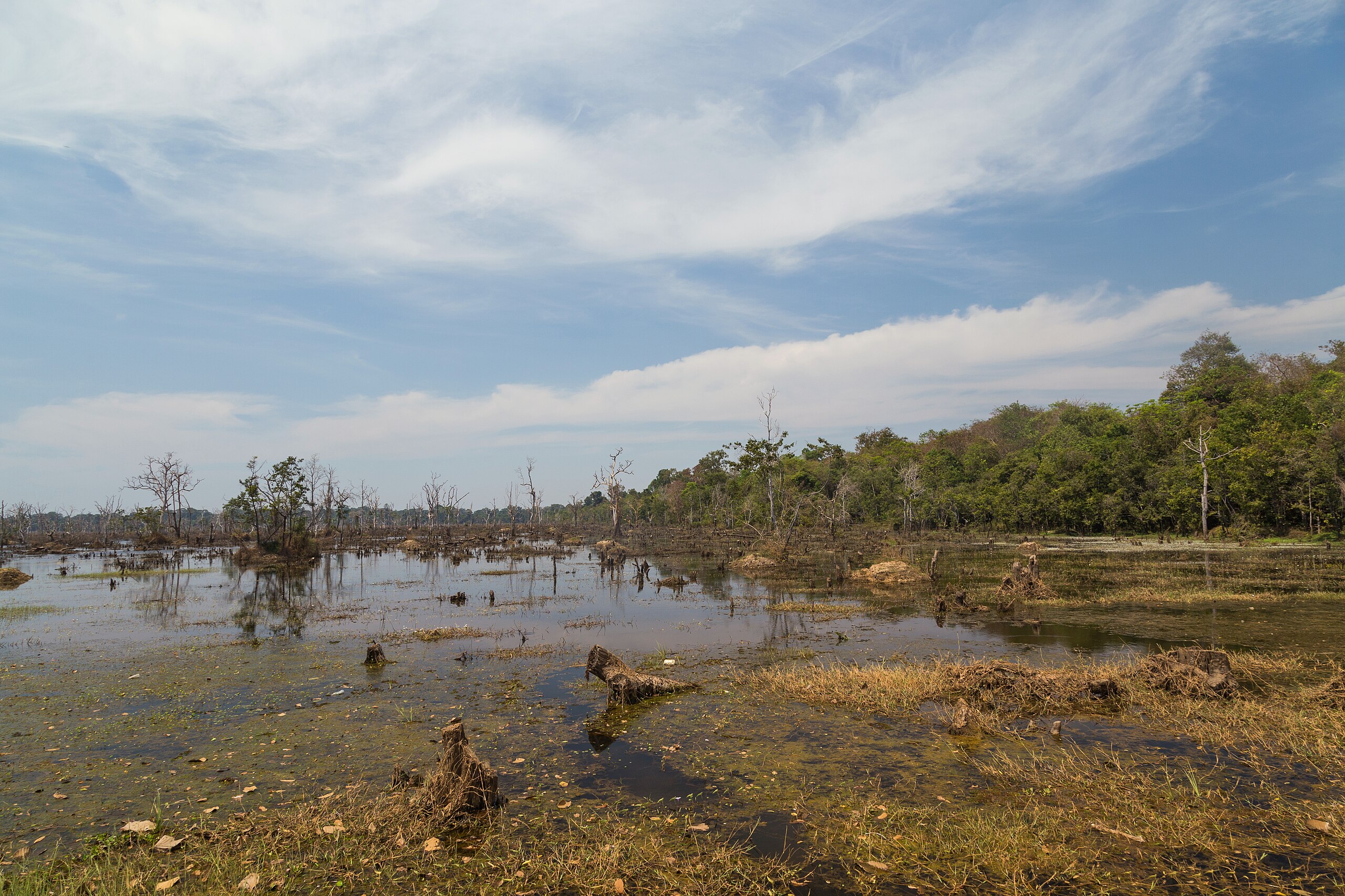 Baray angkor