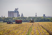 The harvest of seed corn in Iowa 20170917-RD-PJK-0043 TONED (37154688676).jpg