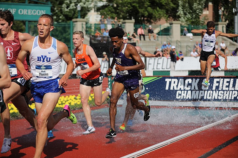 File:2018 NCAA Division I Outdoor Track and Field Championships (42019650854).jpg