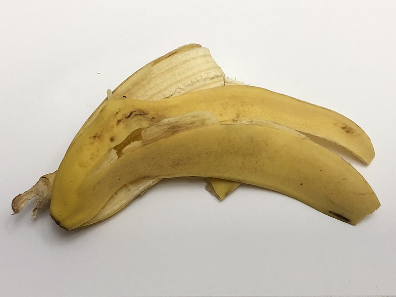 File:2020-03-15 01 55 05 A single banana peel in the Franklin Farm section of Oak Hill, Fairfax County, Virginia.jpg