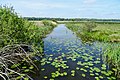 Oude Aa (polder Lappenvoort)