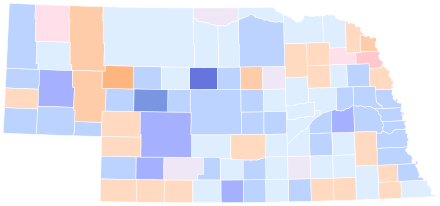 Democratic primary results by county  Janicek   Janicek—60–70%   Janicek—50–60%   Janicek—40–50%   Janicek—30–40%   Janicek—20–30%    Philips   Philips—40–50%   Philips—30–40%   Philips—20–30%    Shelton   Shelton—30–40%   Shelton—20–30%    Tie   Tie