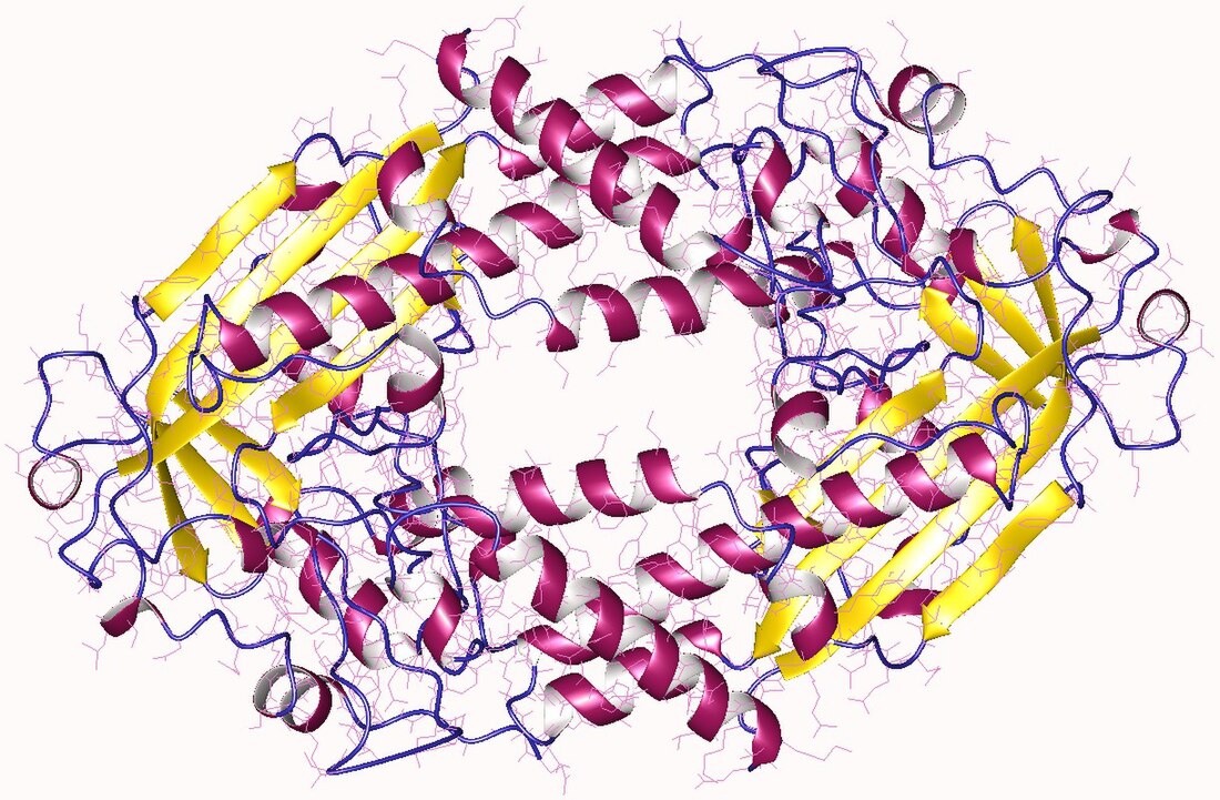 Methionine synthase