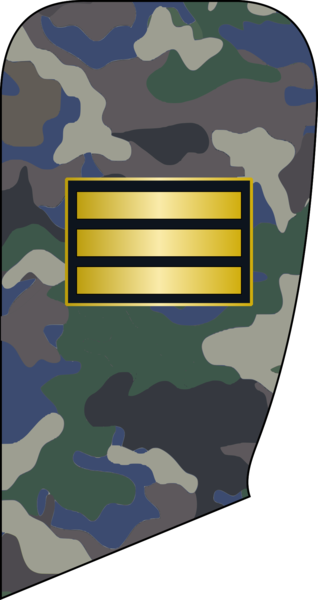 File:3- IRIADF-PFC.png