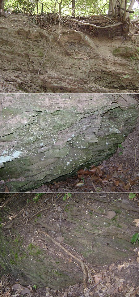 3rdWatchungMountain TowacoFormationCollage