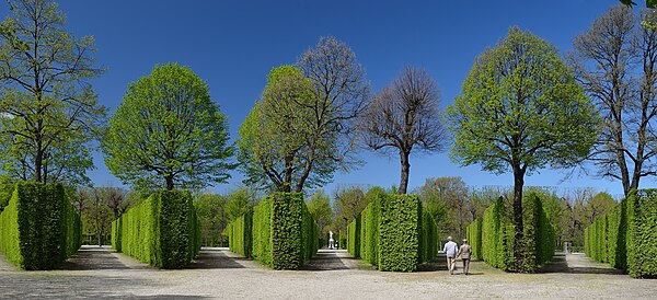 A bosquet in the gardens of Schönbrunn Palace in Vienna. It is shaped like a fan and therefore is called "der Fächer" in German. The gardens were desi