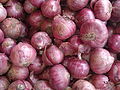 A ccloseup of Salem onion