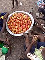 A fresh tomatoes in Northern part of Ghana