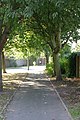 A path leading to Leyland Road - geograph.org.uk - 1929818.jpg