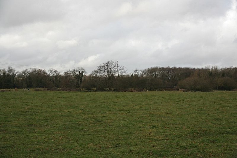 File:Across the field to Sulham brook - geograph.org.uk - 1755221.jpg