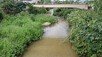 赤津川（鐘場町内）