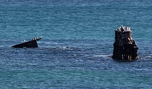 Alkimos Wreck (Love Perth) .jpg