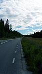 Järvedsvägen skär mitt igenom Alneskogens naturreservat. Här fotograferad österut, mot Järved.