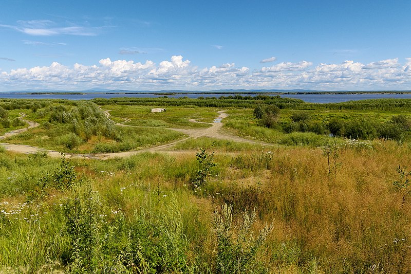 File:Amursk Amur River P8010342 2200.jpg