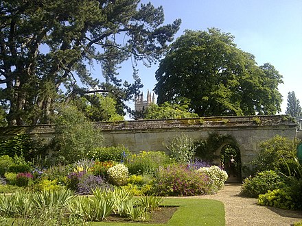 The Magdalen Great Tower obscured behind vegetation in the centre of the gardens.