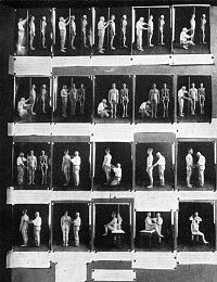 Anthropometry demonstrated in an exhibit from a 1921 eugenics conference. Anthropometry exhibit.jpg