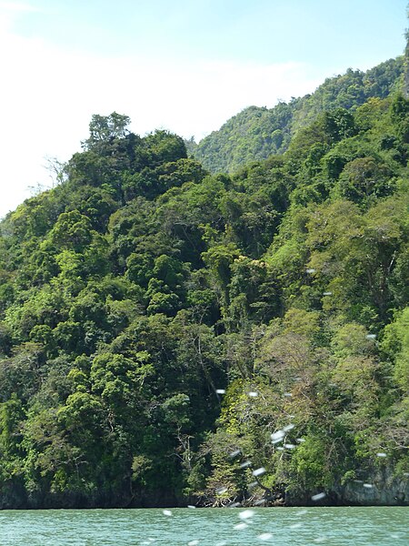 File:Ao Phang Nga National Park P1120305.JPG