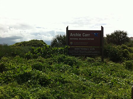 Archie Carr National Wildlife Refuge 002.jpg