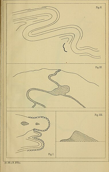 File:Archiv for mathematik og naturvidenskab (1895) (20139144028).jpg