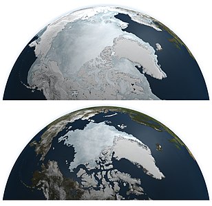 sea ice