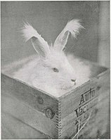 Jaro v krabici, titulní fotografie ilustrovaného měsíčníku Op de hoogte, duben 1930