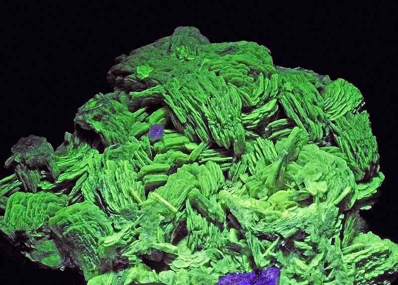 File:Autunite sous UV (France) 1.JPG