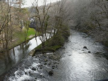 L'Auvézère au lieu-dit le Moulin.