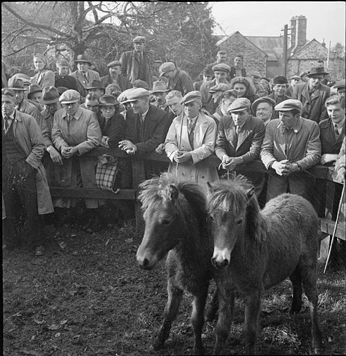Bampton Fair in Bampton, Devon, October 1943