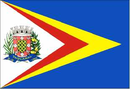 Bandeira do Taquaral