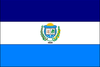 Bandeira iguaí.png
