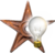 File:Barnstar-lightbulb3.png