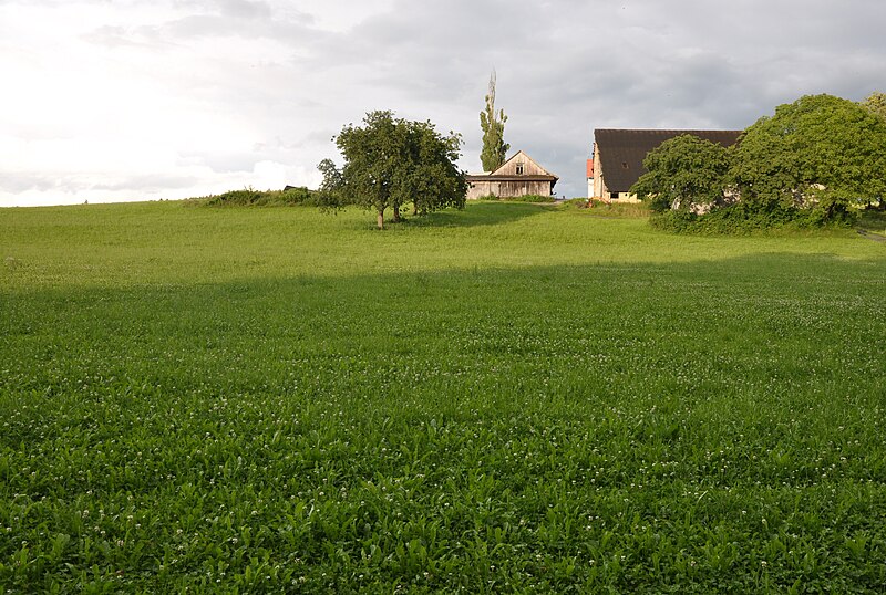 File:Bauernhof bei Raderach 004.jpg