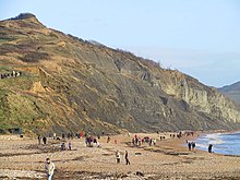 Плаж в Charmouth - geograph.org.uk - 1184655.jpg