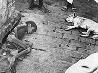 Bengal famine 1943 photo.jpg