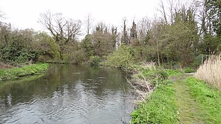 Bennetts Hole Local Nature Reserve in Mitcham, London