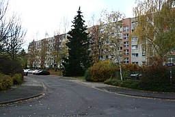 Birkenstraße in Dresden