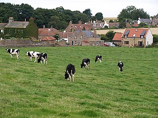 <span class="mw-page-title-main">Boarhills</span> Human settlement in Scotland